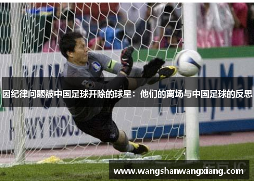 因纪律问题被中国足球开除的球星：他们的离场与中国足球的反思