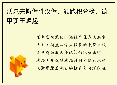 沃尔夫斯堡胜汉堡，领跑积分榜，德甲新王崛起